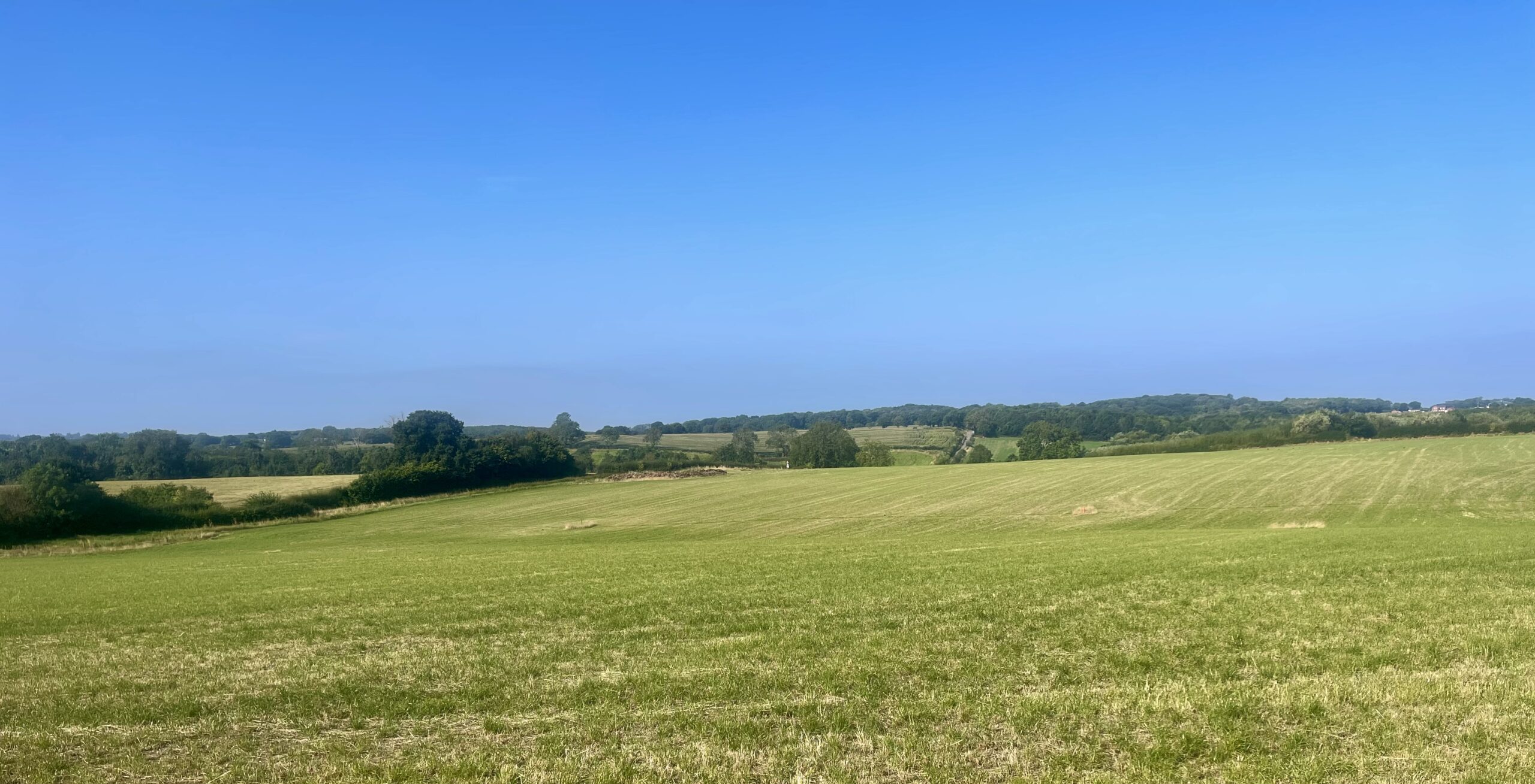 View of Burroughs Fields