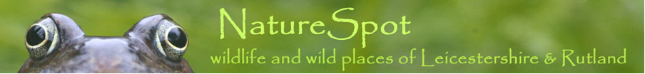 Nature Spot - Wildlife in Ratby